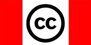 Ccflagsm.jpg